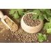 Whole Coriander Seeds Cooking Spice Premium Quality 200g 250.0 grams - Buy Online on GoSupps.com