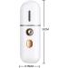 Fattoz Portable Steamer Mini USB Humidifier Nano Sprayer Handy Face Steamer Mist Machine - Buy Online on GoSupps.com