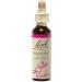 Bach Original Flower Remedies Willow Essence 20mL Dropper - Forgiveness & Stress Relief - Vegan - Buy Online on GoSupps.com