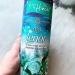 Lenor In Wash Scent Booster Frosted Eucalyptus 3 PACK with Sample Lenor Tumble Dryer Sheets - Buy Online on GoSupps.com