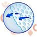 Always Ultra Thin Panty Liners with Flexi Wings - 76 Count, Coreboost, 10-Hour Leak Protection - Buy Online on GoSupps.com