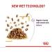 Royal Canin Sensory Taste in Jelly Wet Cat Food 85g (Pack of 48) - Buy Online on GoSupps.com