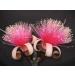 Buy Genipap 5 Razor Brush Tree Seeds - Premium Quality & Fast International Shipping | Grow Rare Tropical Trees! - Buy Online on GoSupps.com