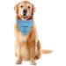 Personalized Adjustable Dog Bandana | Custom Embroidered Neckerchief | Cotton Triangle Scarf for Dogs - Small Blue - Buy Online on GoSupps.com