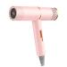 Professional Hair Dryer Infrared Negative Ionic Blow Dryer Hot&Cold Wind Salon Hair Styler Tool Hair Electric Blow Drier Blower (Type 1 Pink)