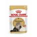 Royal Canin Persian Adult in Gravy Wet Cat Food 85g (48 Pack)