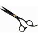 Professional 6 Inch Hair Cutting Scissors Set - Black Cherry Thinning Shears for Barbers & Hairdressers - Premium Quality Haircut Scissors - Buy Online on GoSupps.com