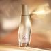 Natura - Linha Luna - Colonia Feminina Radiante 75 Ml - (Natura - Luna Collection - Radiant Eau De Toilette For Women 2.53 Fl Oz) - Buy Online on GoSupps.com