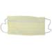Cardinal Health AT70021 Secure-Gard Procedure Mask with Earloop - Pack of 500 - Buy Online on GoSupps.com