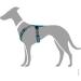 HUNTER Maldon Harness XS-S Petrol/Grey - Premium Dog Harness for Comfortable International Shipping - Buy Online on GoSupps.com