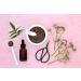 Wildcrafted Valerian Root Cut 4oz - Premium Valeriana Officinalis Herb Shoppe Bulk - Buy Online on GoSupps.com