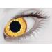 Golden Vampire Contact Lens 1 Day Use Only