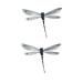 Dragonfly Temporary Tattoo Sticker Set of 12 - Watercolor Waterproof Body Art for Women, Girls, Kids - Party Favor - 10.5X6cm (SF160) - Buy Online on GoSupps.com