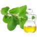 Herbal Magic's Pure and Natural Panch Tulsi Drops-Extract of Five Types of Holy Basil - Shyam Shwet Sursa Nimbu &VanTulsi-Most Revered in Ayurveda-Liquid/Drops 30ml (Pack of 1) 30 ml (Pack of 1) - Buy Online on GoSupps.com