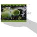 Sunwave Japanese Style Green Bean Mochi 180 g - Buy Online on GoSupps.com