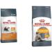 Royal Canin Hair & Skin Care Dry Cat Food 2kg Poultry 2 kg (Pack of 1) - Buy Online on GoSupps.com