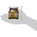 Lobo Pad Thai Paste 280 g - Buy Online on GoSupps.com