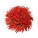 Virgolden Organic Cayenne Pepper 50g - Rich, Smoky Flavor for Delicious Dishes - Buy Online on GoSupps.com