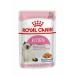Royal Canin Kitten in Jelly Wet Cat Pouches 85g (Pack of 12)