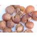 Green Virgin Soap Nuts - 500g (1.1 lbs) for 165 Wash Loads | Eco-Friendly Laundry Solution with 2 Wash Bags - Buy Online on GoSupps.com