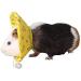 NashaFeiLi Elizabethan Pet Collar for Hamsters & Chinchillas | Adjustable Comfortable - Size M | Yellow & Pink Options - Buy Online on GoSupps.com