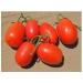 30 semi Rio Large Tomato 2017 ($ 3.00 max Shipping!) - Buy Online on GoSupps.com