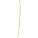 Vickerman Natural Botanicals 20" Natural Palm Sun Stem Real Preserved Foliage Stems Includes 12 Stems Per Pack - Buy Online on GoSupps.com