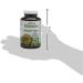 Lifeplan High Strength Brewers Yeast 300mg - 500 Tablets | Natural Source of B Vitamins | Supports Digestive Health - Buy Online on GoSupps.com