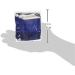 Shop 2-Piece Tension Relieving Compression Ankle Wrap for Women - Blue X-Large | Lightweight Support for Pain Relief - International Shipping Available - Buy Online on GoSupps.com