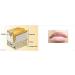 Lip Collagen PEPTIDE (Tripeptide-29) - Helps with The Reduction of Lip Lines and boosts Collagen. Mix in with Your Favorite Cream Gel Lotion or serum. (120ml / 4 OZ) 1 Count (Pack of 1) - Buy Online on GoSupps.com