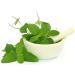 Herbal Magic's Pure and Natural Panch Tulsi Drops-Extract of Five Types of Holy Basil - Shyam Tulsi Shwet Sursa Tulsi Nimbu Tulsi Van Tulsi-Most Revered in Ayurveda-Liquid/Drops 30ml (Pack of 3) 30.00 ml (Pack of 3) - Buy Online on GoSupps.com