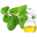 Herbal Magic's Pure and Natural Panch Tulsi Drops-Extract of Five Types of Holy Basil - Shyam Tulsi Shwet Sursa Tulsi Nimbu Tulsi Van Tulsi-Most Revered in Ayurveda-Liquid/Drops 30ml (Pack of 3) 30.00 ml (Pack of 3) - Buy Online on GoSupps.com
