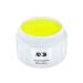 Acrylic Color Powder Neon Yellow - Finest Color Powder Powder - Studio Quality 5 g (1 pack) yellow