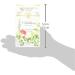 Buy Celebration Herbals Organic Cinnamon Korintje Tea - 24 Bags (0.02 lb) | Premium Herbal Tea for Health - Buy Online on GoSupps.com