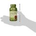 GNC Herbal Plus Grape Seed Extract 300mg - Antioxidant Support | 100 Capsules - Buy Online on GoSupps.com