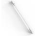 Base Labs Keloid Bump Removal Swabs | Medicated Piercing Aftercare for Piercing Bumps | Gentle Saline Solution for Ear, Nose, Belly & Body Piercings | 40 Swabs - Buy Online on GoSupps.com