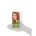 Naturtint 8C Copper Blonde Hair Colour - Ammonia-Free Vegan Formula - Buy Online on GoSupps.com