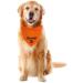 Personalized Dog Bandana | Adjustable Triangle Neckerchief | Custom Embroidered Dog Name | Cotton Headscarf | Dog Hill Cloth - Large Orange - Buy Online on GoSupps.com