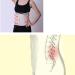 Neoprene Waist Support Trimmer for Men & Women - Unisex Exercise Weight Loss Back Brace Corset - Buy Online on GoSupps.com