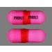 Diphenhydramine CP 50mg Tablets - 1000 Count | Fast-Acting Allergy Relief - Buy Online on GoSupps.com