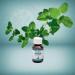 ROPA-B Liquid 10% - Water-Soluble Fertilizer for Optimal Plant Growth | Buy Internationally - Buy Online on GoSupps.com