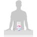 Nuby No-Spill Grip N'sip - Buy Online on GoSupps.com