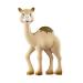 AlThir le Compagnon | 100% Natural Rubber Teether Relieves Gum Pain & Stimulates 5 Senses | Shop Internationally - Buy Online on GoSupps.com