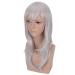 Shop Silver White Micro-Curly Wig for Volume - Ideal for Chemotherapy | Li Baifeng Phoenix Wig - Buy Online on GoSupps.com