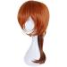 WHBHD Anime Coer Wig - Bungo Stray Dogs Chuuya Nakahara Cosplay Wig | Color Gradient Short Ponytail & Heat-Resistant Hair - Perfect for Costume & Gaming - Buy Online on GoSupps.com