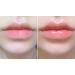 WHITESILK Derma Volufiline 5-Minute Restore Cream Balm Stick - High Concentration for Firm, Plump, Lifted Skin - Hydrating and Brightening Face, Eyes, Lips, Neck, and Body - Buy Online on GoSupps.com