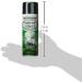 Rust-Oleum 267727 Specialty Mirror Spray  6-Ounce  Silver 6 Ounce Silver - Buy Online on GoSupps.com