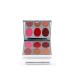 Jerome Alexander New Again Lipstick Palette & Retractable Brush 6 Hot-Poured Buildable & Blendable Smooth Matte Shades (Sumptuous Shades)