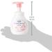 Buy Kao Biore U Foam Hand Soap - Fruit Aroma 250ml | Japanese Quality International Shipping - Buy Online on GoSupps.com