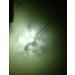 Green Blob Outdoors 15000 Lumen White Underwater Fishing Light with Timer - Submersible LED Fish Attractor for Crappie, Snook, Bass, and Diving - 30ft Cord, 3-Prong Plug - Buy Online on GoSupps.com